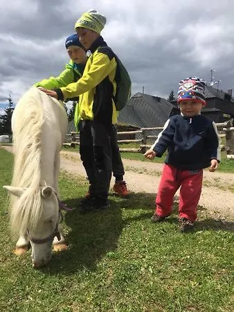 Alpstuga Sedmikraska *