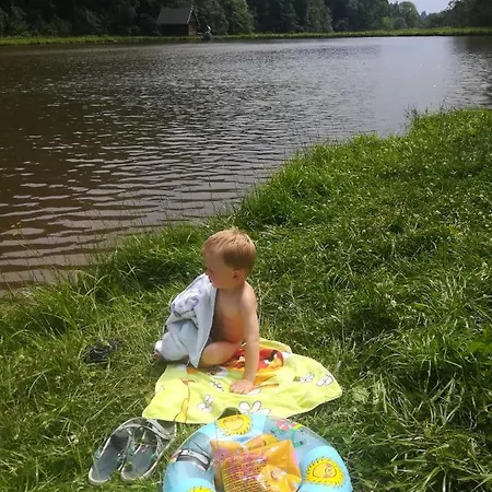 Sedmikraska *