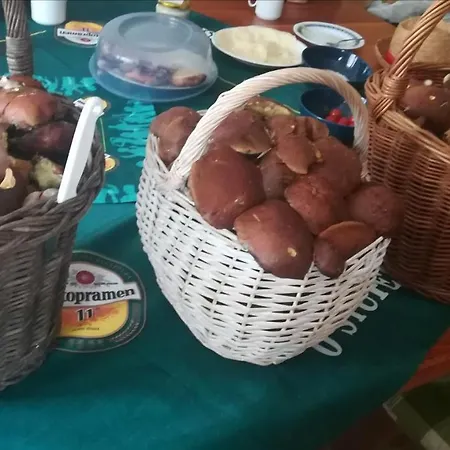 Sedmikraska