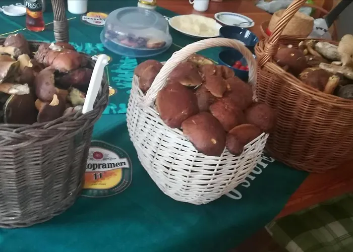 Sedmikraska
