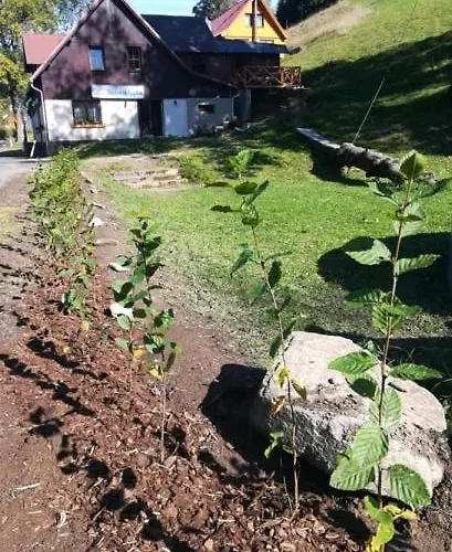 Sedmikraska 샬레